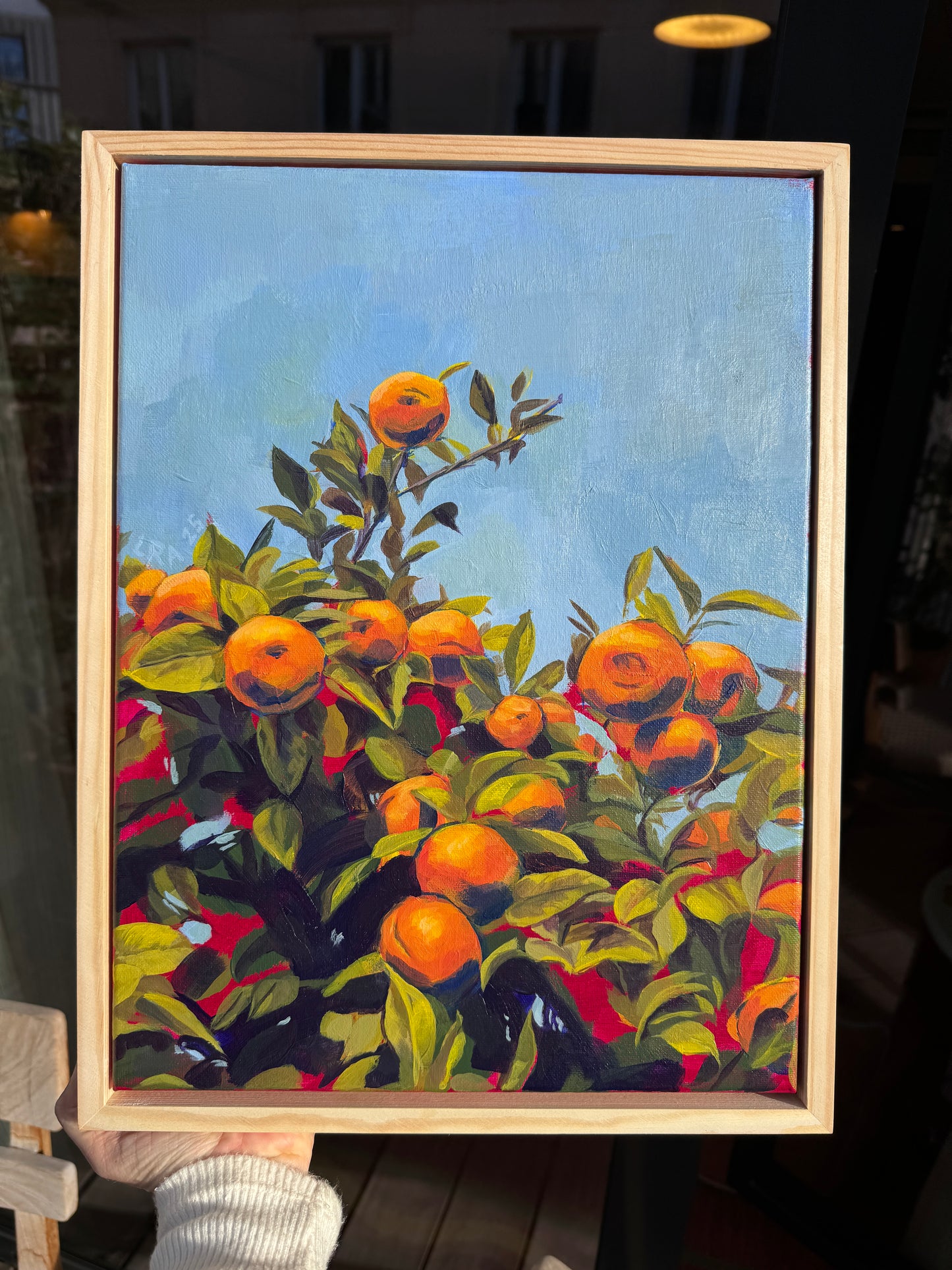 Naranjas Sevillanas