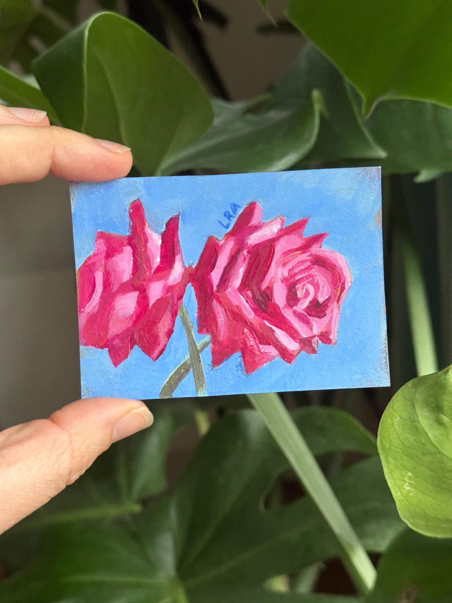 Valentine's Roses