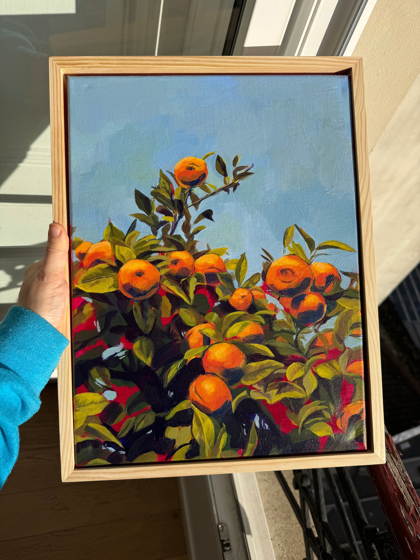 Naranjas Sevillanas