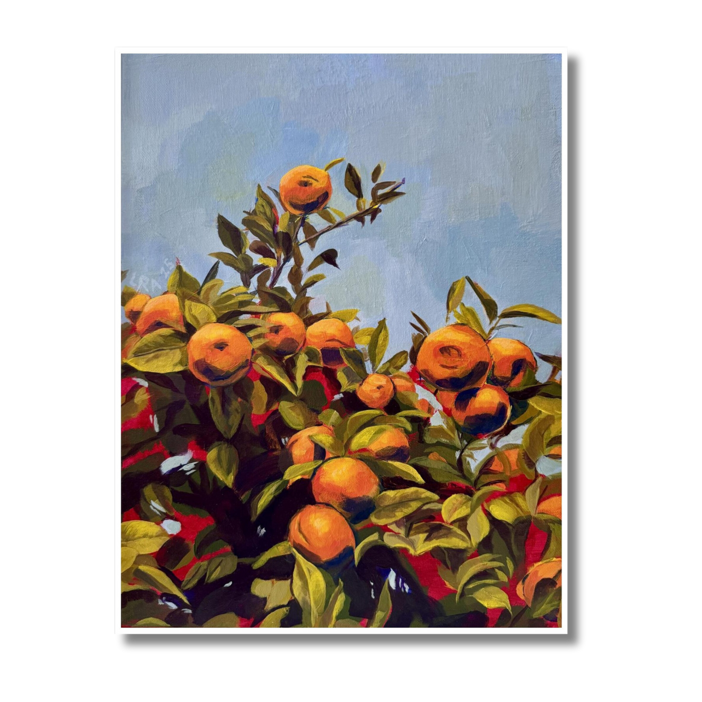 Naranjas Sevillanas | Fine Art Print