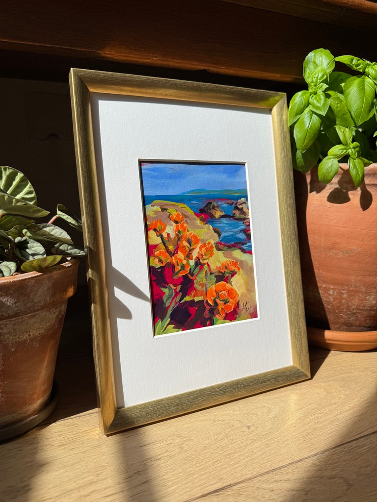 Superbloom