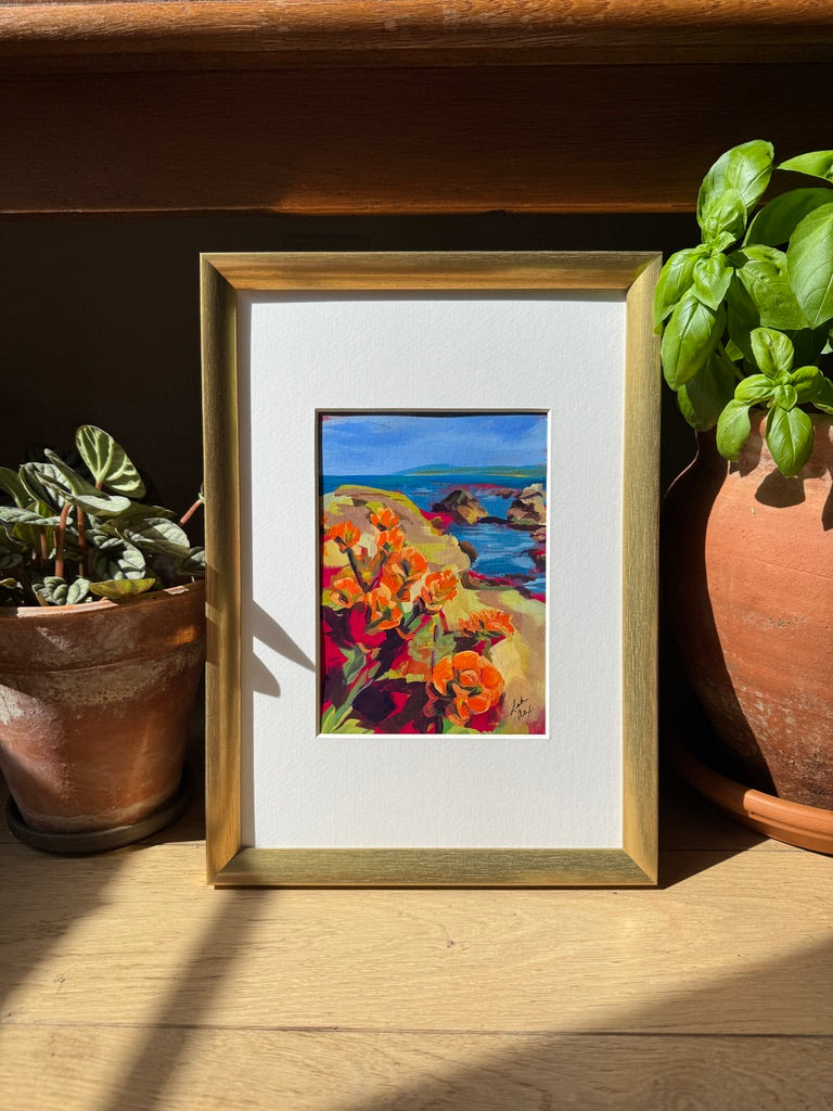Superbloom