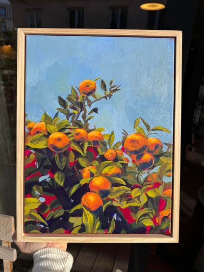 Naranjas Sevillanas