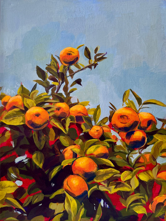 Naranjas Sevillanas