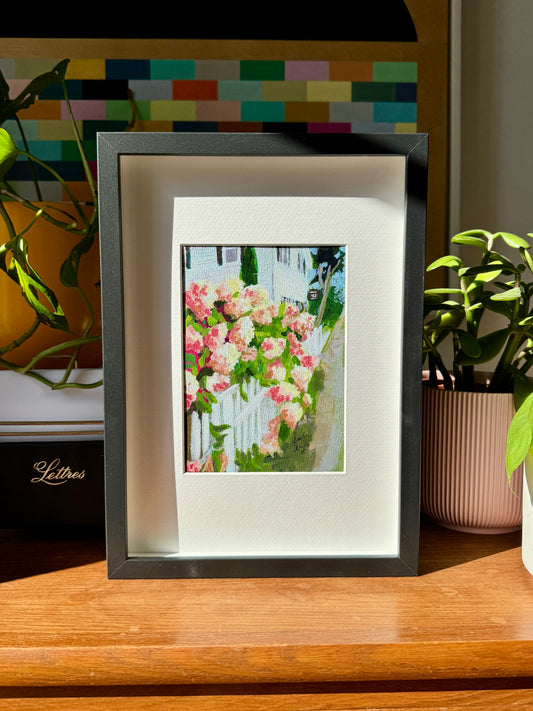 Summer Hydrangeas