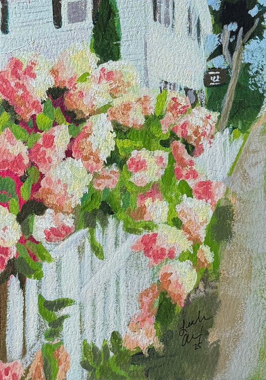 Summer Hydrangeas