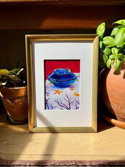 Star Glazing (Moroccan Pottery Part I)